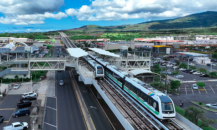 Transportation Sector